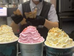 -雾与山茶(大禹城店)