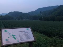 -自在弥林花园餐厅(云栖店)