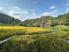 -程阳八寨景区