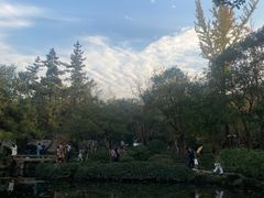 -秋霞圃