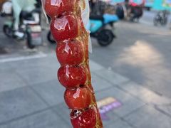 -和禄德冰糖葫芦