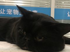 -美迦爱-牙专科·兔科·骨科诊疗中心(北苑店)
