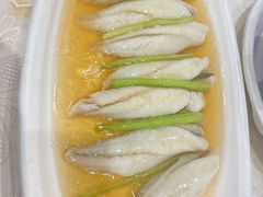 糟溜黄鱼肚-金八仙酒店