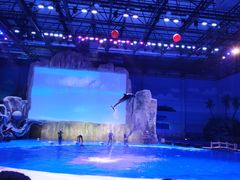 -华夏文旅海洋公园