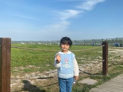 -盐城丹顶鹤湿地生态旅游区