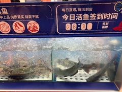 -鱼酷活鱼烤鱼(山西旗舰店)