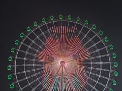 -琴岛之星摩天轮