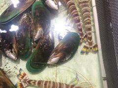 -强记海鲜·大排档(蛇口新街店)