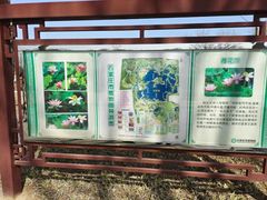 -石家庄市植物园