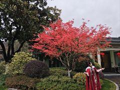 -浙江西子宾馆·瑶园咖啡厅