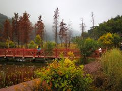 -广州市石门国家森林公园