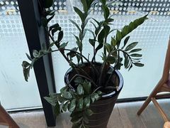 -COSTA COFFEE(哈尔滨凯德学府店)