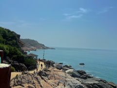 -广东惠东海龟国家级自然保护区