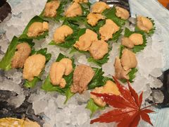 -月龍吟(朝龙汇店)
