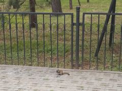-鬼笑石后山停车场