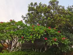 -厦门国家会计学院