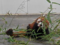 android_upload_pic-西安秦岭野生动物园