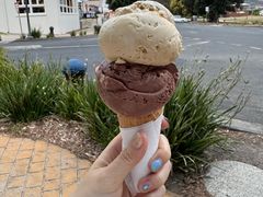 -Dooley's Premium Ice Cream