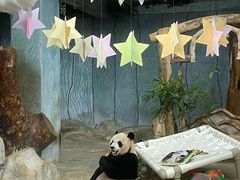 -海南热带野生动植物园
