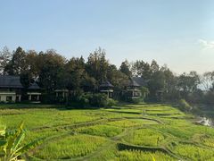 -四季酒店下午茶
