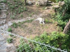 -石家庄市动物园