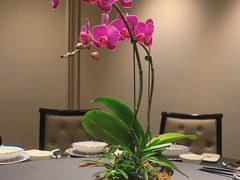 -狮王府淮扬菜(夫子庙老门东店)