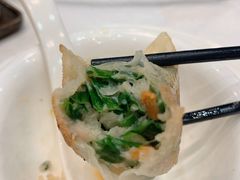 香煎韭菜饺-鹅城
