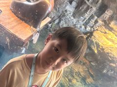 -大阪海游馆