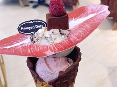 -哈根达斯(石家庄北国店)