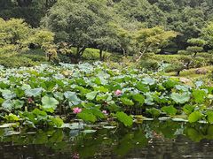 -杭州植物园