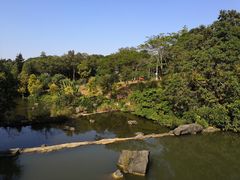 -云溪植物园