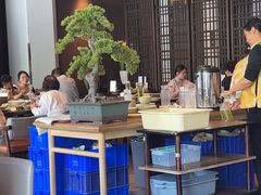 -扬州狮子楼·非遗淮扬菜(总店)