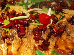 -老板恋上鱼(恒隆广场店)