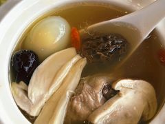 羊肚菌松茸煨鸽蛋-日出青木