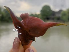 -韩湘水博园