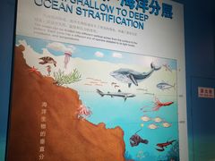 -贝林大翅鲸简餐厅(国家海洋博物馆店)