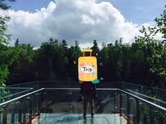 -峡谷浮石林景区