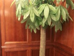 -梦都海鲜酒家(万达广场江桥店)