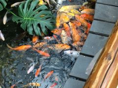 -上海大自然野生昆虫馆(东方明珠·爬宠昆虫探索中心)