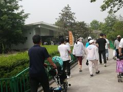 -辛玛王国游乐园