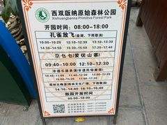 -西双版纳原始森林公园