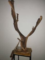 -榕树上·瑜伽普拉提