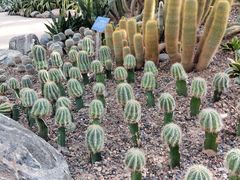 -南山植物园