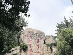 -秦皇岛野生动物园