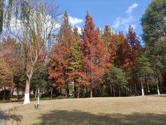 -苏州河梦清园环保主题公园