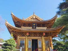 -上海东林寺(金山区)