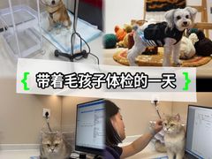 -御宝贝24h宠物医院·转诊中心·CT核磁血透中心(厦门总院)