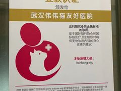 -伟伟宠物医院·瑞派猫友好医院·猫科(光谷店)