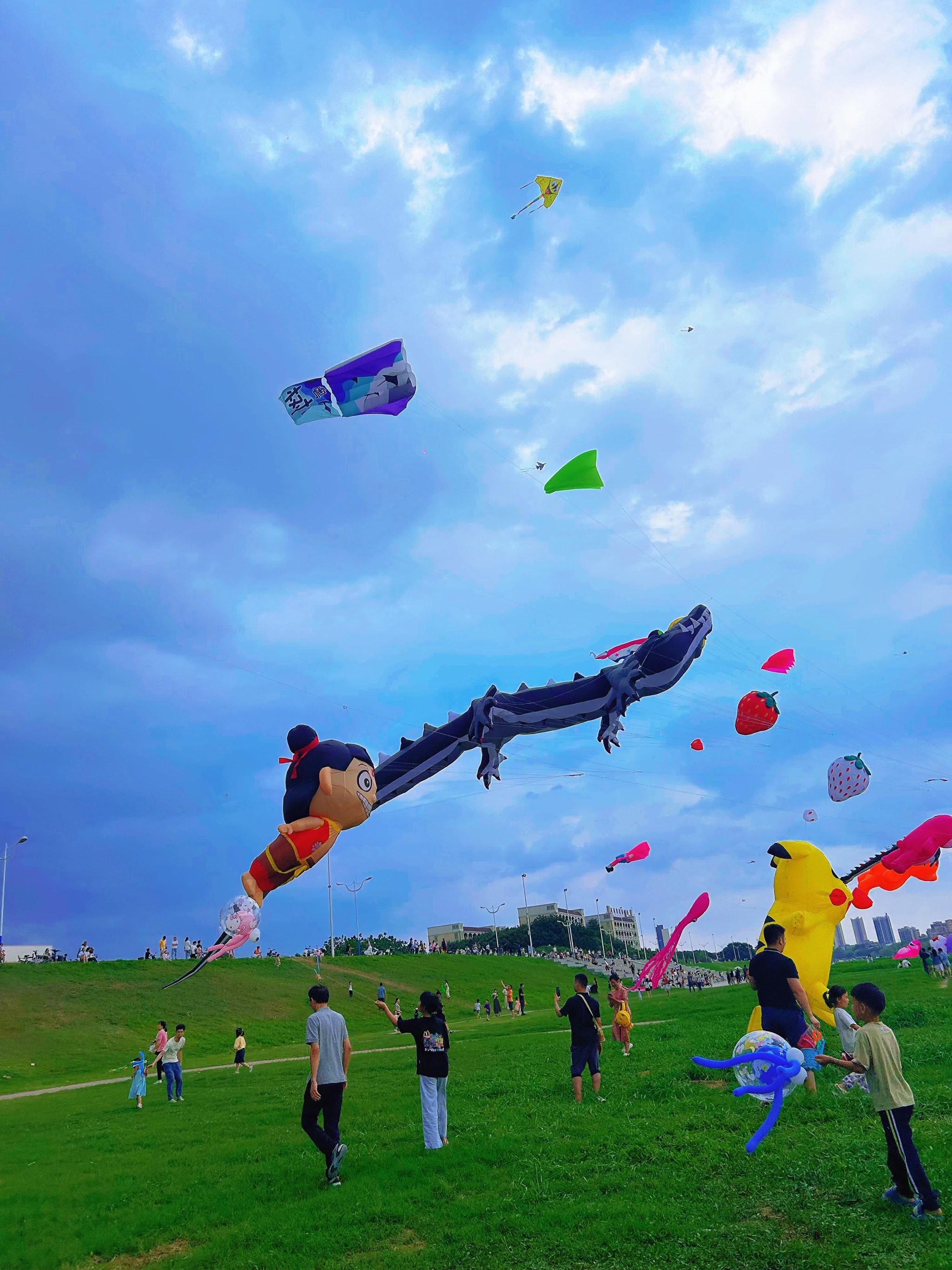 彩虹风筝飞满天