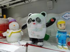 -海合安成都极地海洋公园